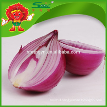 Wholesale fresh red onion price for dehydrated onion